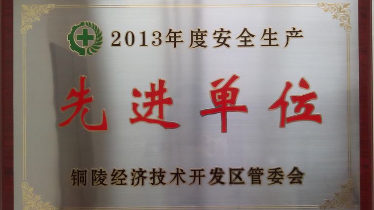 2013年度“安全生產(chǎn)先進(jìn)單位”
